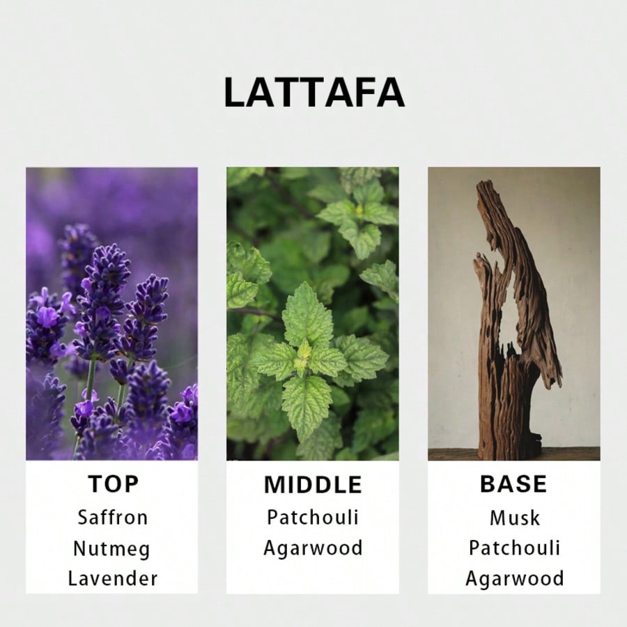 Lattafa Badee Al Oud For Glory – You Perfume Fragrance Bewertung und Preis