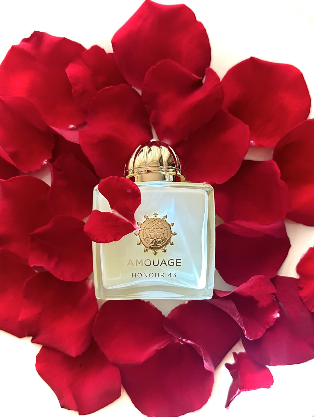Amouage Honour 43 Woman Extrai – Perfume Fragrance Families Bewertung und Preis