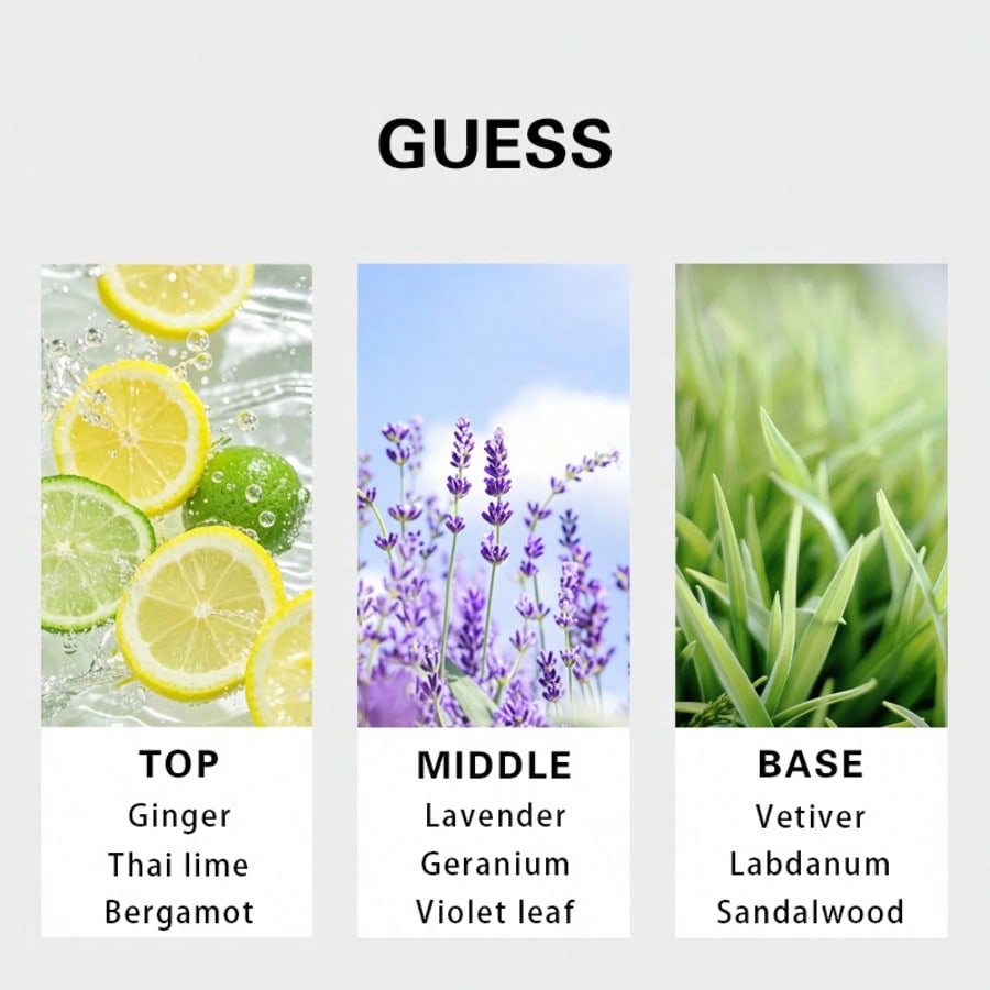 Guess Forever Herren Eau De To – You Perfume Fragrance Bewertung und Preis