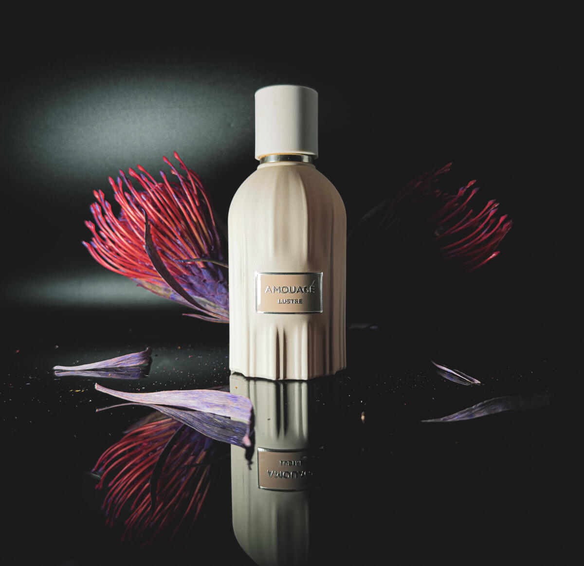 Amouage Lustre Parfüm 100ml Lu – Perfume Fragrance Families Bewertung und Preis